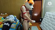 Horny doggy on main