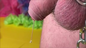 The Easter Bunny Lays Its Eggs 1
