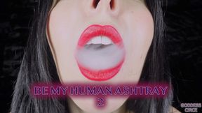 BE MY HUMAN ASHTRAY 2