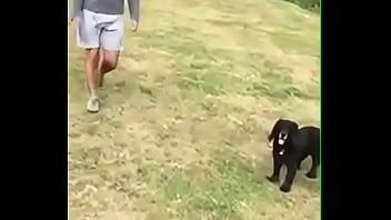 Gay Bulgu , bulto public gay ,gay public