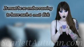 It must be so embarrassing to have such a small dick - MP4 HD 1080p