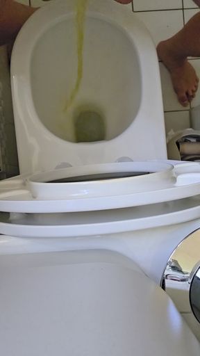 Toilet humiliation