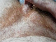 Wank my rock hard uncut cock showing my ginger bush off - Hairy Daddy Bear