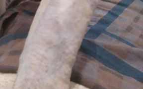 Handsome Boy Masturbation