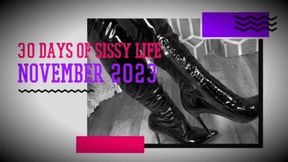 30 Days of Sissy Life Training Experience with Mistress Buddah