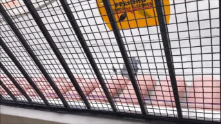 Amateur homo's, grote piemel anaal gepenetreerd