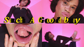 Such A Good Boy- Ebony Femdom Goddess Rosie Reed Sensual Gentle Domination Jerk Off Instruction