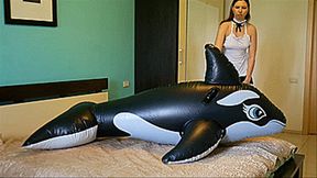 Housemaid pop and deflate big inflatable whale Full HD