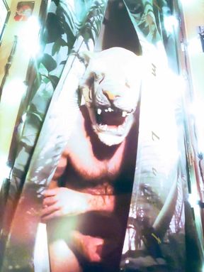 FUN HOUSE FEATURE: Adam Lust Reveals His Inner Tiger