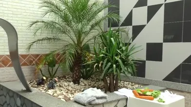 Ts Barbara Perez Plays With Carrots Then Takes A Machine Mounted Dildo