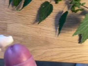 Ortica/Nettle ball torture by Mistress command