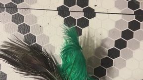 Feather Tickling Story MP4