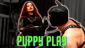Puppy Training, Mistress Amanda controls her obedient puppy