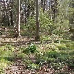 Lucky stranger getting a wank from me in the woods before I take him home for hard fuck