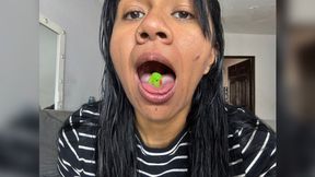 giant plays with a mini duck in his mouth