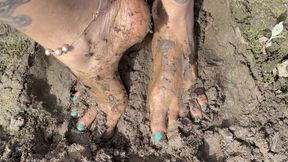 sinking their feet into the mud