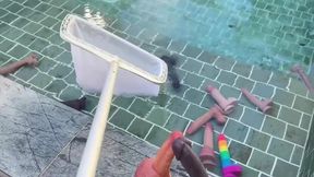 I swim in a pool full of dicks