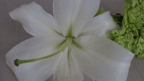 Many flowers were crushed c