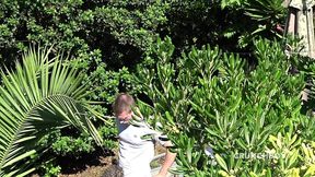 dimitri baise par le beau apolo adrii en exhib dans un jardin public