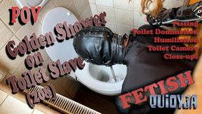 Golden Shower on Toilet Slave POV