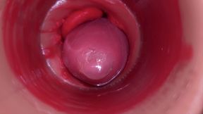 Inside a Camgirl Cervix POV Camera in Vagina with Big Dick Toy