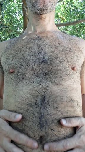 Chest and hairy cock