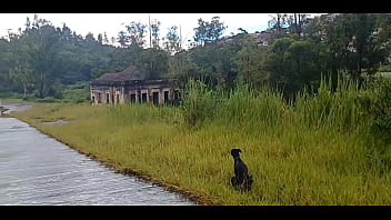 SEM TETO FODENDO NO TERRENO ABANDONADO