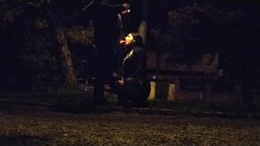 Whore deal with a big fat dick in the public park &mdash;  leashed