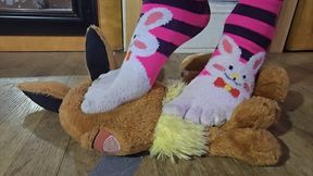 Close up toe sock trample