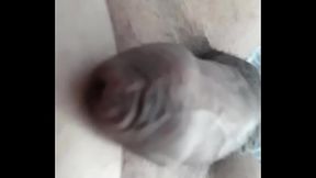 The Amazing Cock