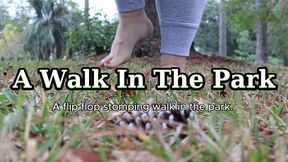 A Walk In The Park HD