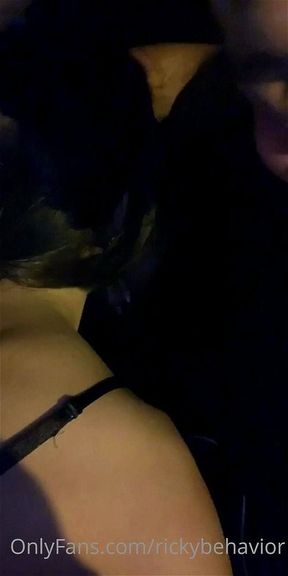 Wild Night in Florida can't wait to go again