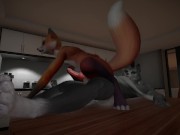 H0rs3 Furry Animation - Furry fox and werewolf