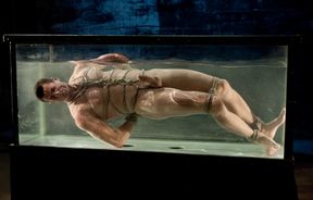 Dude in water is going to get a nice handjob too