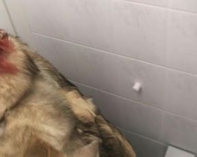 Annadevot - Filmed in a Fur Coat