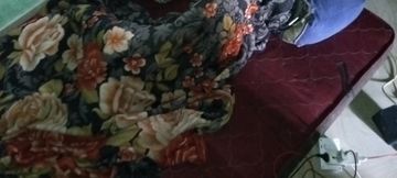 Kerala Mallu Chettan Mastrubate And Lick Honey Black Pussy Of  His Chechi On Bed