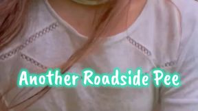 Another Risky Roadside Pee