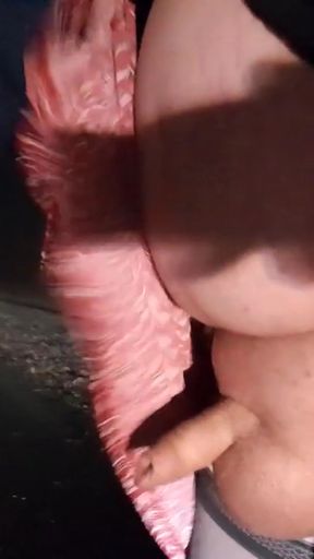 Multiples cum on the road   Clip 1