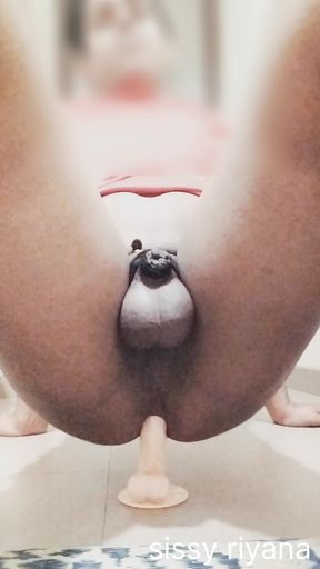 Small dicked shemale riana bich is getting her ass fucked with a dildo