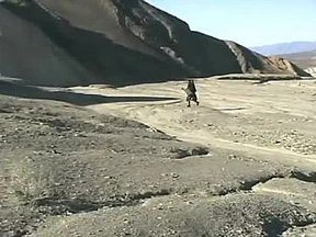 Womb Raider Full Classic Movie Only For Connoisseurs