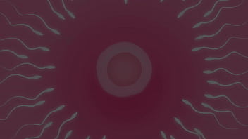 Genshin impact Raiden Yae Sara group sex [voice vers.]