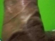 Pene lleno de venas y grande