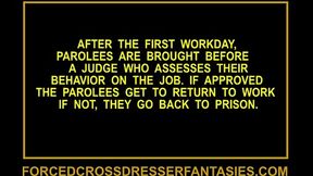 Sexy Sissy Crossdresser Court Feminization