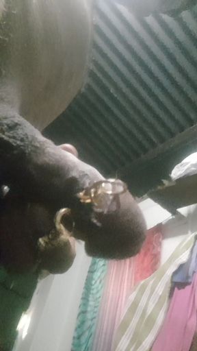 Pierced cock homemade cumshot Selfsex big black cock cream naughty boy oil cock