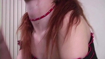 Nothing is Better than a Cock Sucking Bitch !