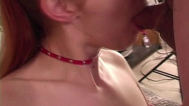 Nothing is Better than a Cock Sucking Bitch !
