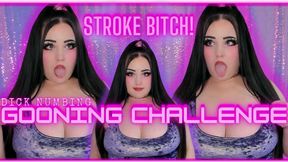 Stroke Bitch! Dick Numbing Gooning Challenge!