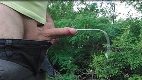 Sperm fountain in nature