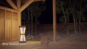 Breeding The Princess