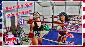 Kick the Spit Out of Her! 3 WMV